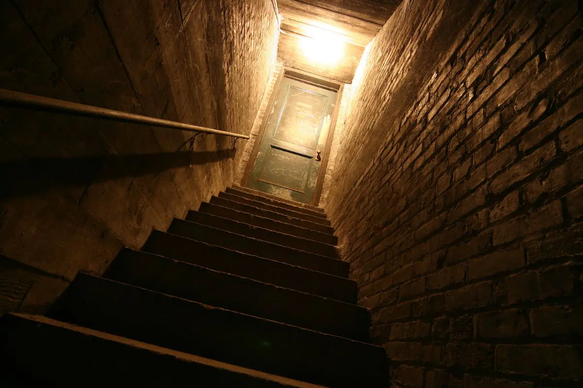 Mold and Radon Testing: Why These Specialized Services Are Crucial for New York Properties