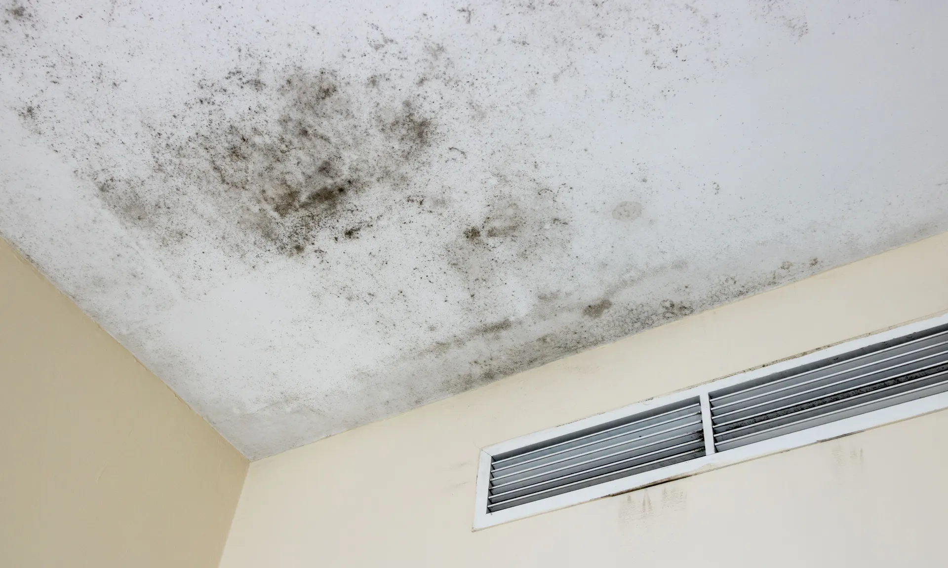 Mold testing